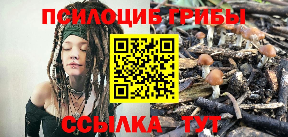 Галлюциногенные грибы мицелий Новотроицк