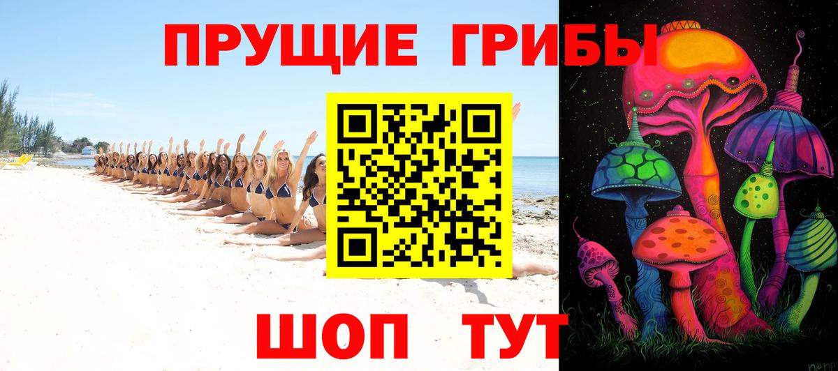 Псилоцибиновые грибы мухоморы  Галлюциногенные грибы GOLDEN TEACHER  где продают   Новотроицк  Вход с VPN 